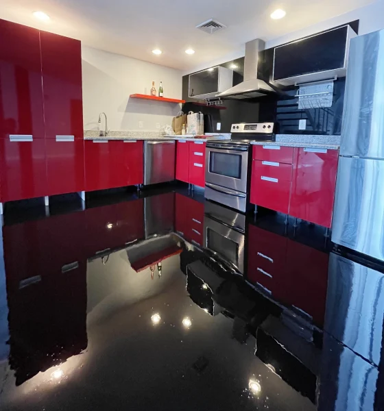 kitchen-portrait